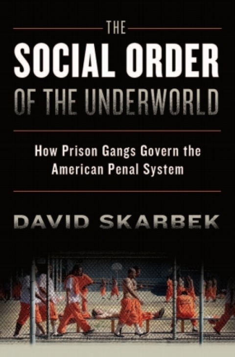 Cover image for book The Social Order of the Underworld