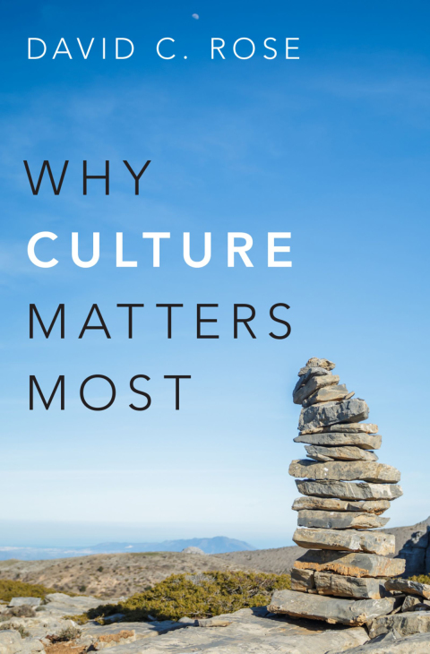 Cover image for book Why Culture Matters Most