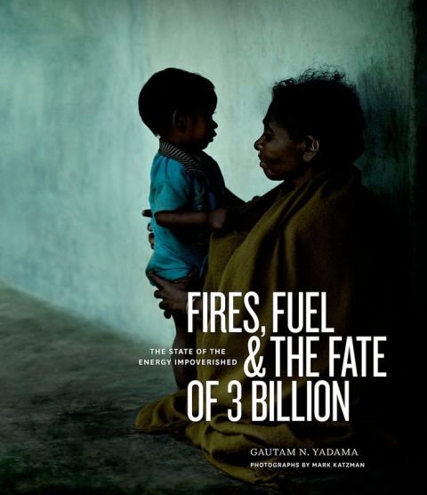Cover image for book Fires, Fuel, and the Fate of 3 Billion