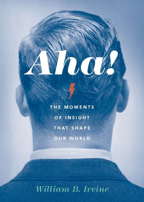 Cover image for book Aha!