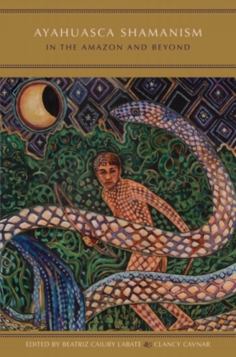 Cover image for book Ayahuasca Shamanism in the Amazon and Beyond