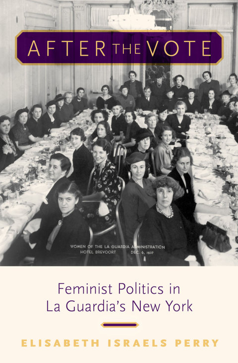 Cover image for book After the Vote