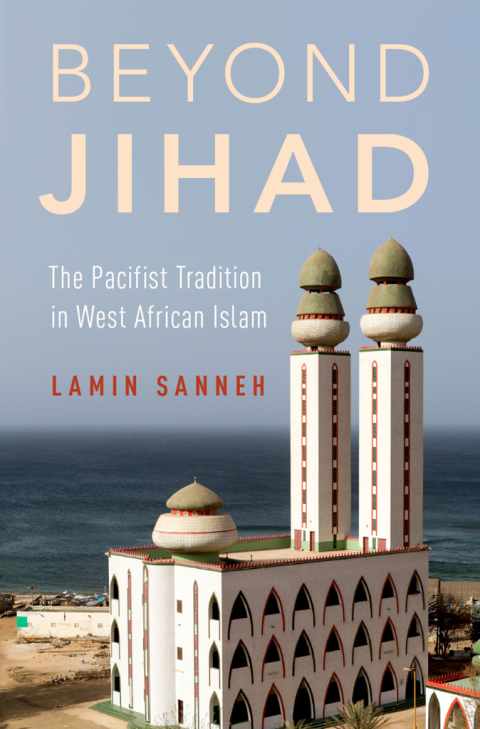 Cover image for book Beyond Jihad