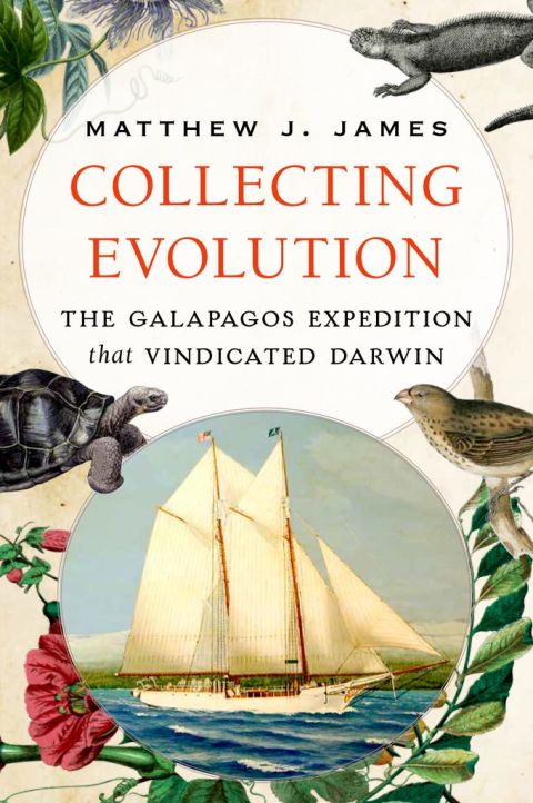 Cover image for book Collecting Evolution