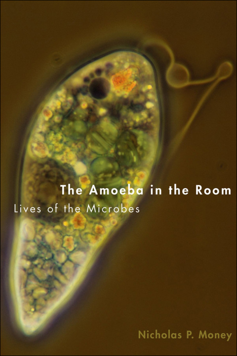 Cover image for book The Amoeba in the Room
