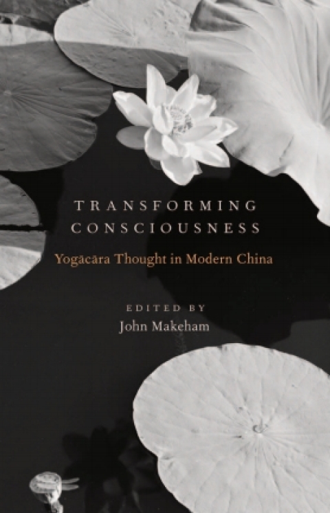 Cover image for book Transforming Consciousness