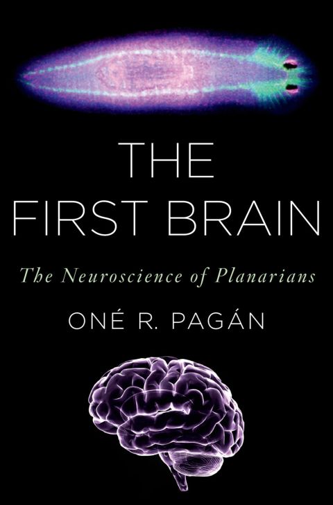 Cover image for book The First Brain