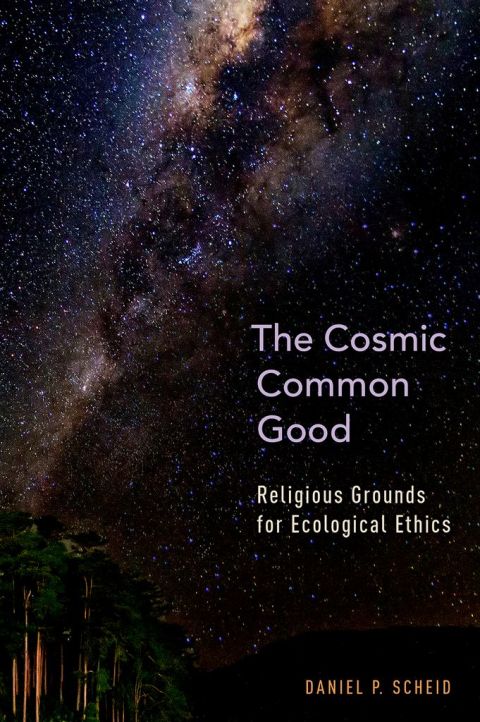 Cover image for book The Cosmic Common Good