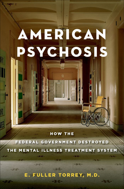 Cover image for book American Psychosis: How the Federal Government Destroyed the Mental Illness Treatment System