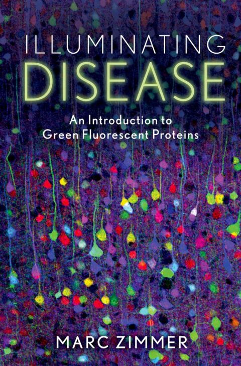 Cover image for book Illuminating Disease