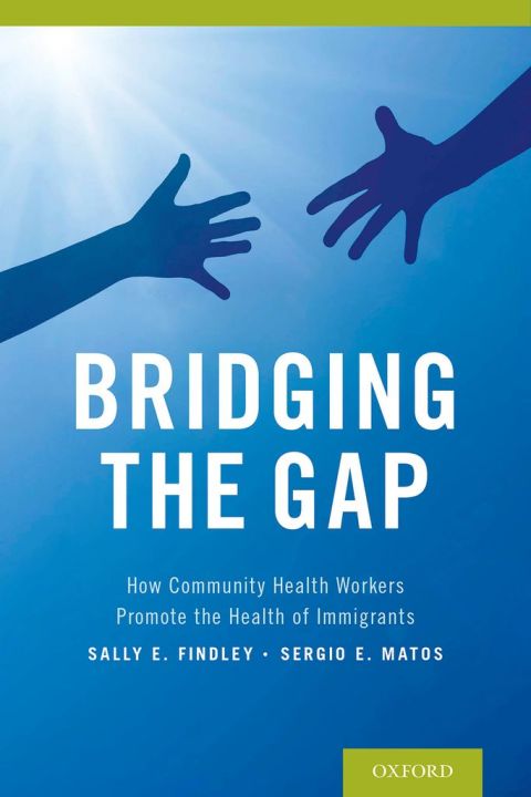 Cover image for book Bridging the Gap