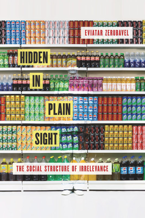 Cover image for book Hidden in Plain Sight