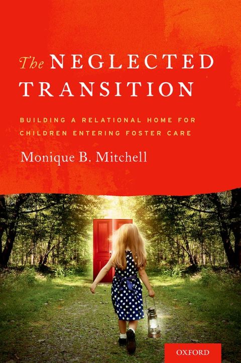 Cover image for book The Neglected Transition