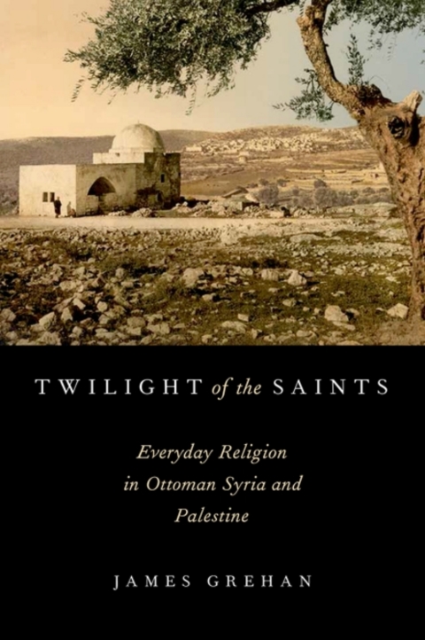 Cover image for book Twilight of the Saints