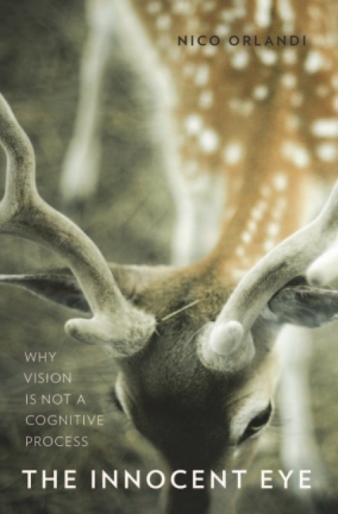 Cover image for book The Innocent Eye