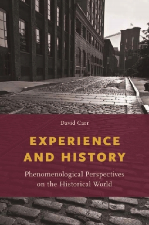 Cover image for book Experience and History