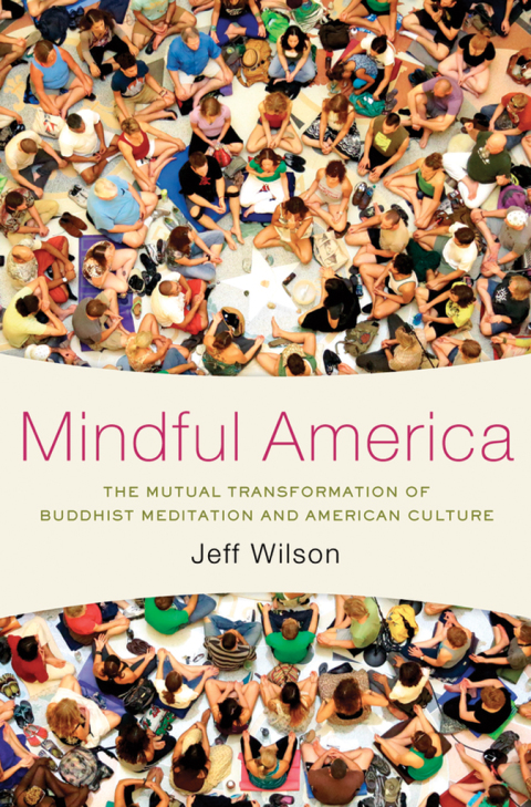 Cover image for book Mindful America: The Mutual Transformation of Buddhist Meditation and American Culture
