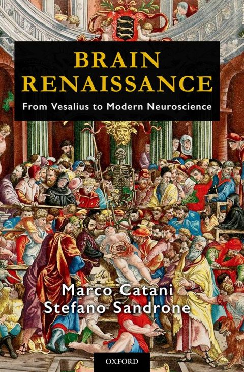 Cover image for book Brain Renaissance
