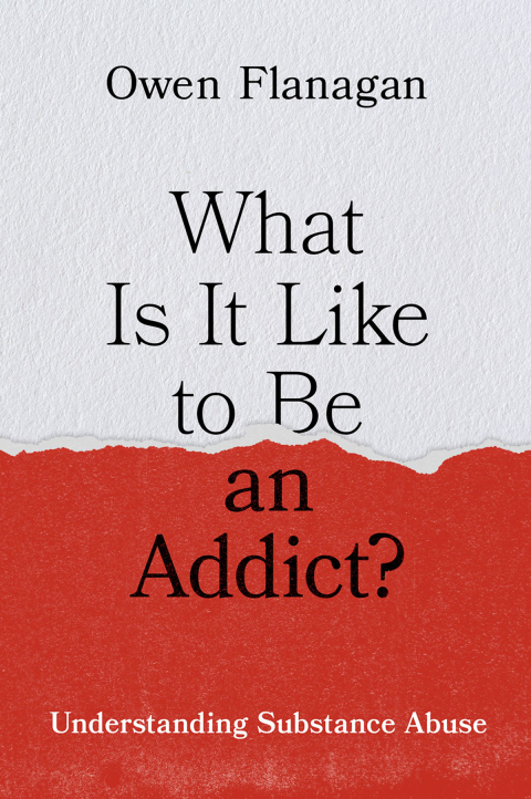 Cover image for book What Is It Like to Be an Addict?