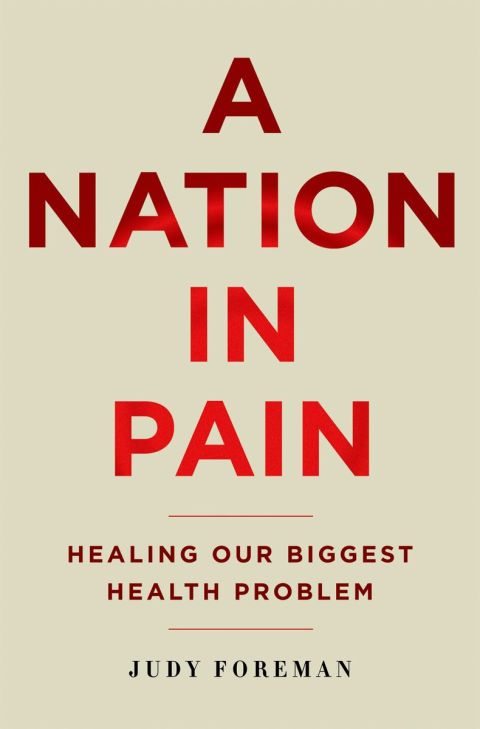 Cover image for book A Nation in Pain