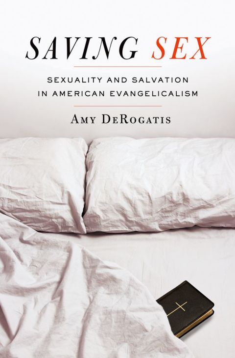 Cover image for book Saving Sex