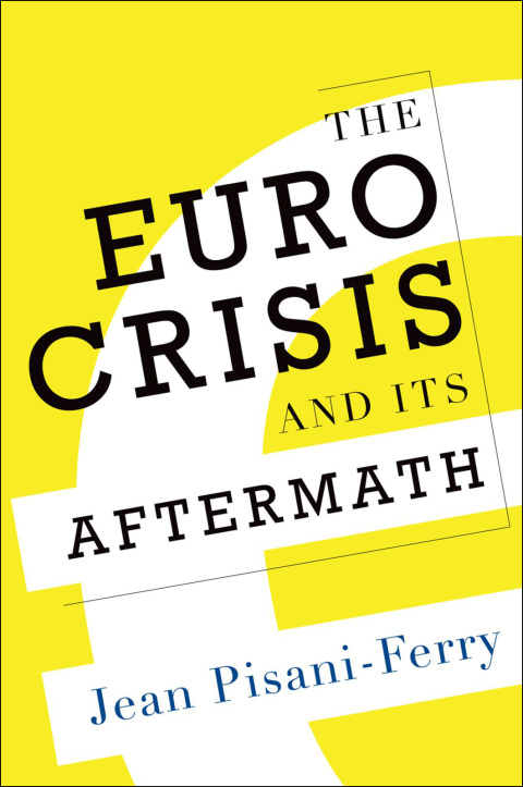 Cover image for book The Euro Crisis and Its Aftermath