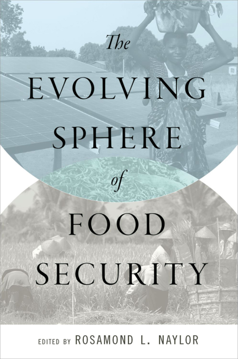 Cover image for book The Evolving Sphere of Food Security