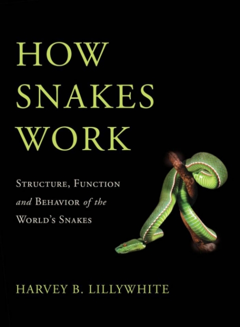 Cover image for book How Snakes Work