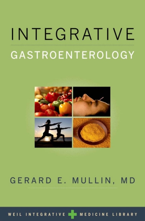 Cover image for book Integrative Gastroenterology