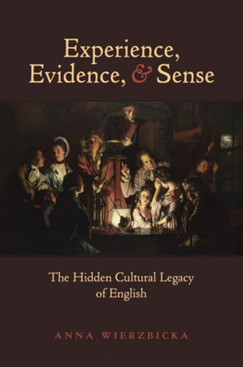 Cover image for book Experience, Evidence, and Sense