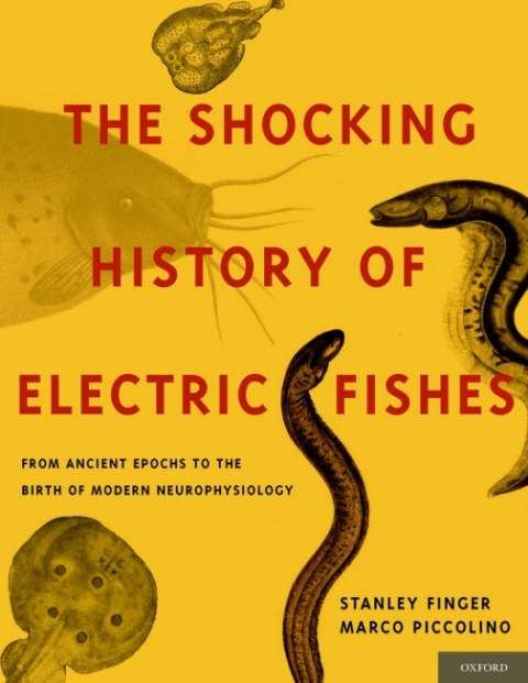 Cover image for book The Shocking History of Electric Fishes