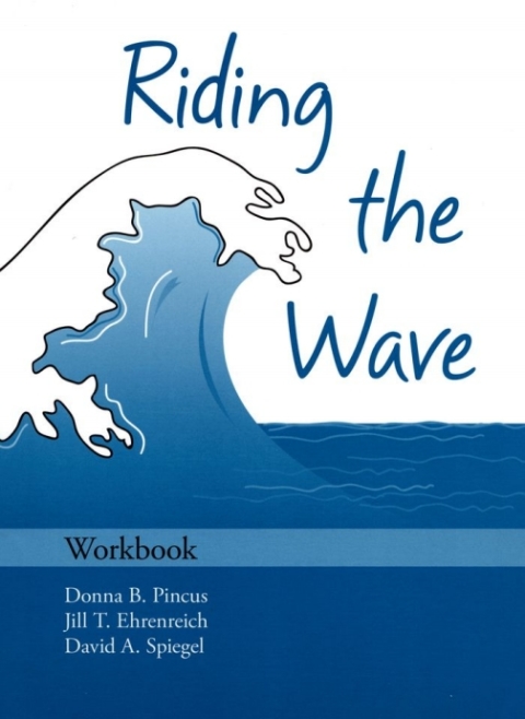 Cover image for book Riding the Wave Workbook