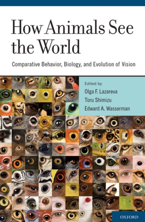 Cover image for book How Animals See the World