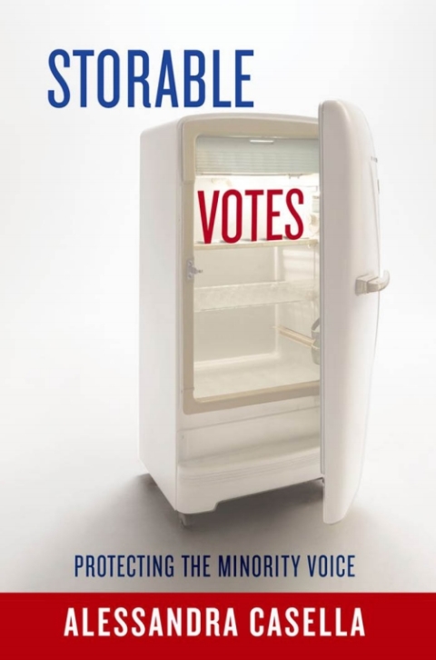 Cover image for book Storable Votes