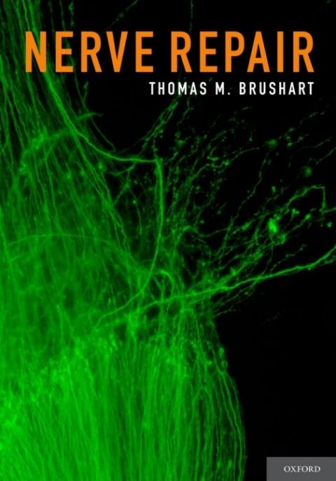 Cover image for book Nerve Repair