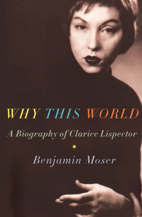 Cover image for book Why This World