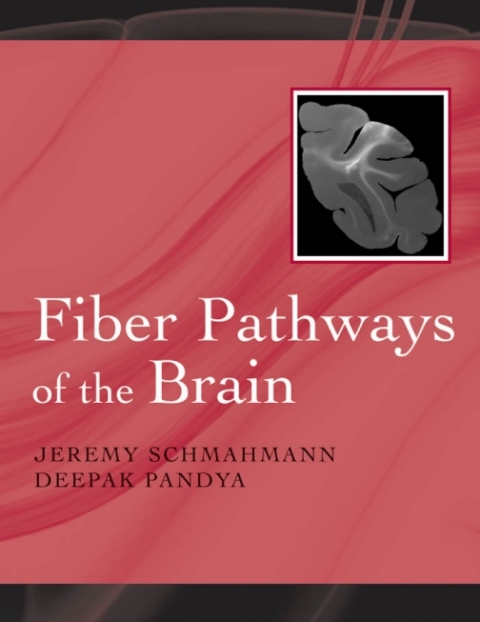 Cover image for book Fiber Pathways of the Brain