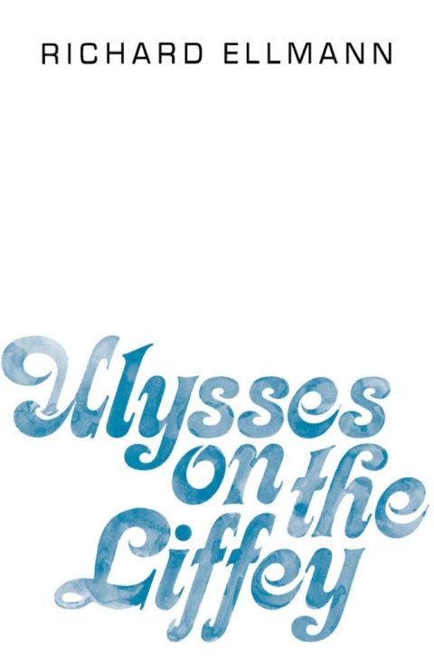 Cover image for book Ulysses on the Liffey