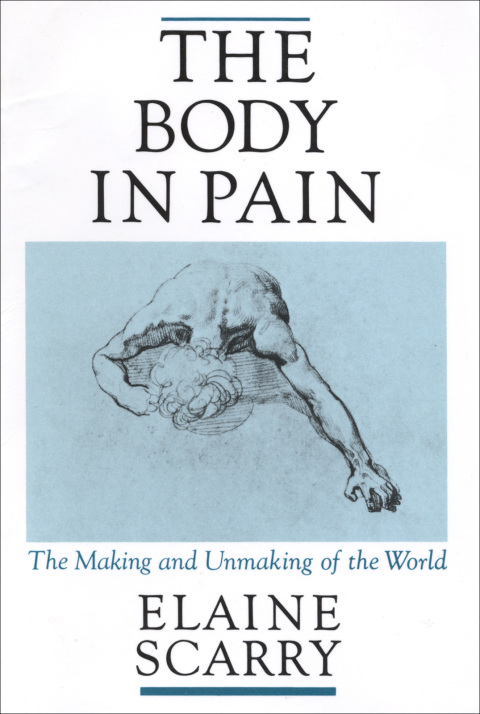 Cover image for book The Body in Pain