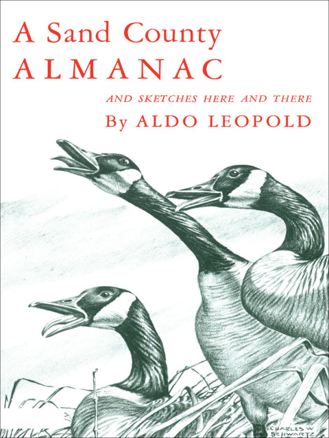 Cover image for book A Sand County Almanac