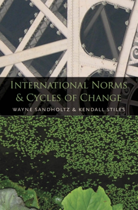 Cover image for book International Norms and Cycles of Change