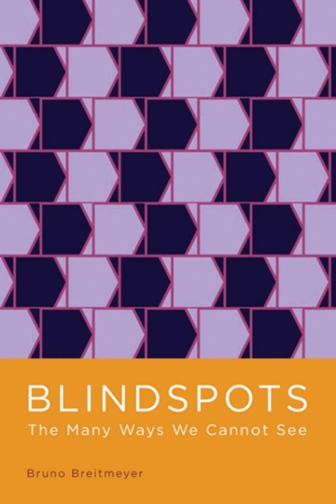 Cover image for book Blindspots