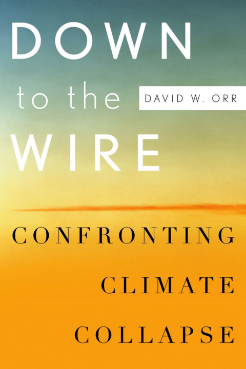 Cover image for book Down to the Wire