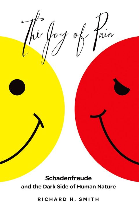 Cover image for book The Joy of Pain