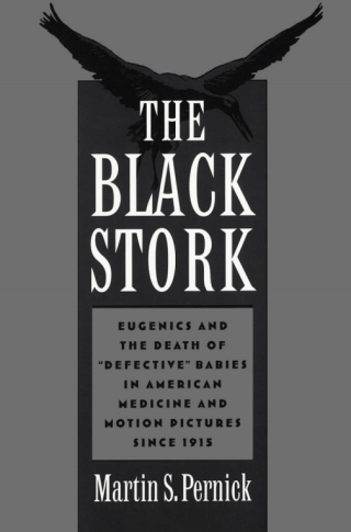 The Black Stork