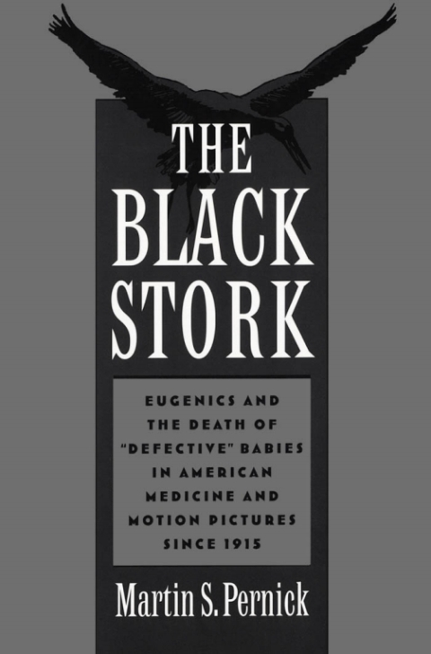 Cover image for book The Black Stork