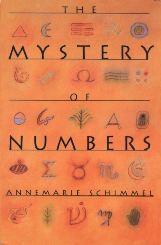 The Mystery of Numbers