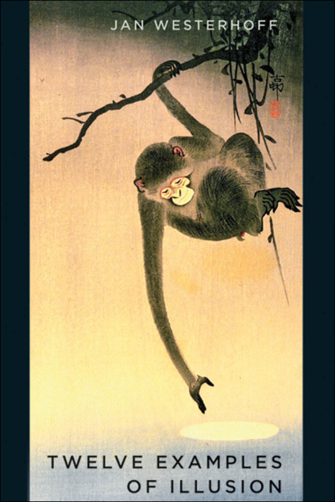 Cover image for book Twelve Examples of Illusion