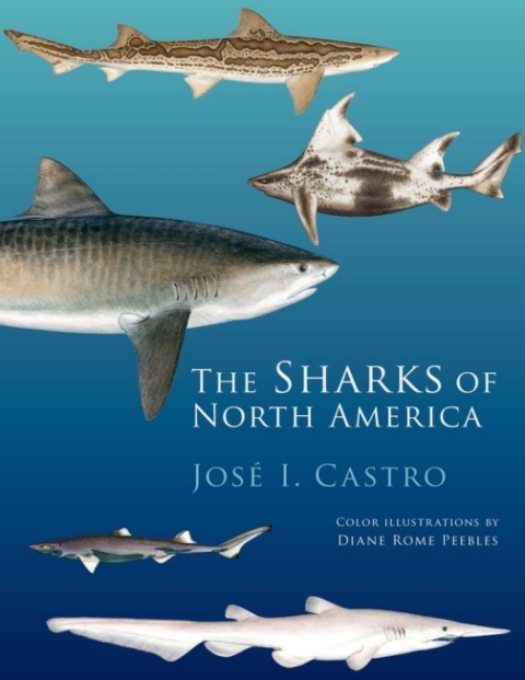 Cover image for book The Sharks of North America