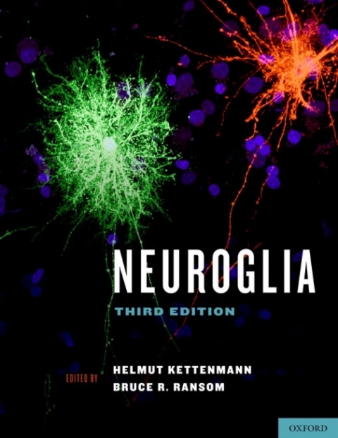 Cover image for book Neuroglia